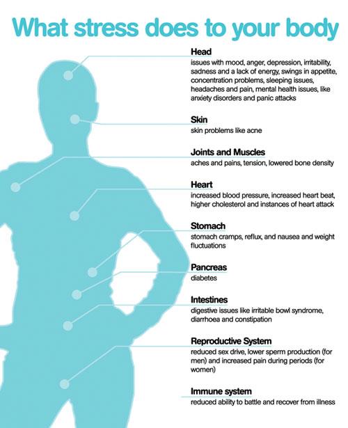 How Chronic Work Stress Damages Your Brain And 10 Things You Can Do